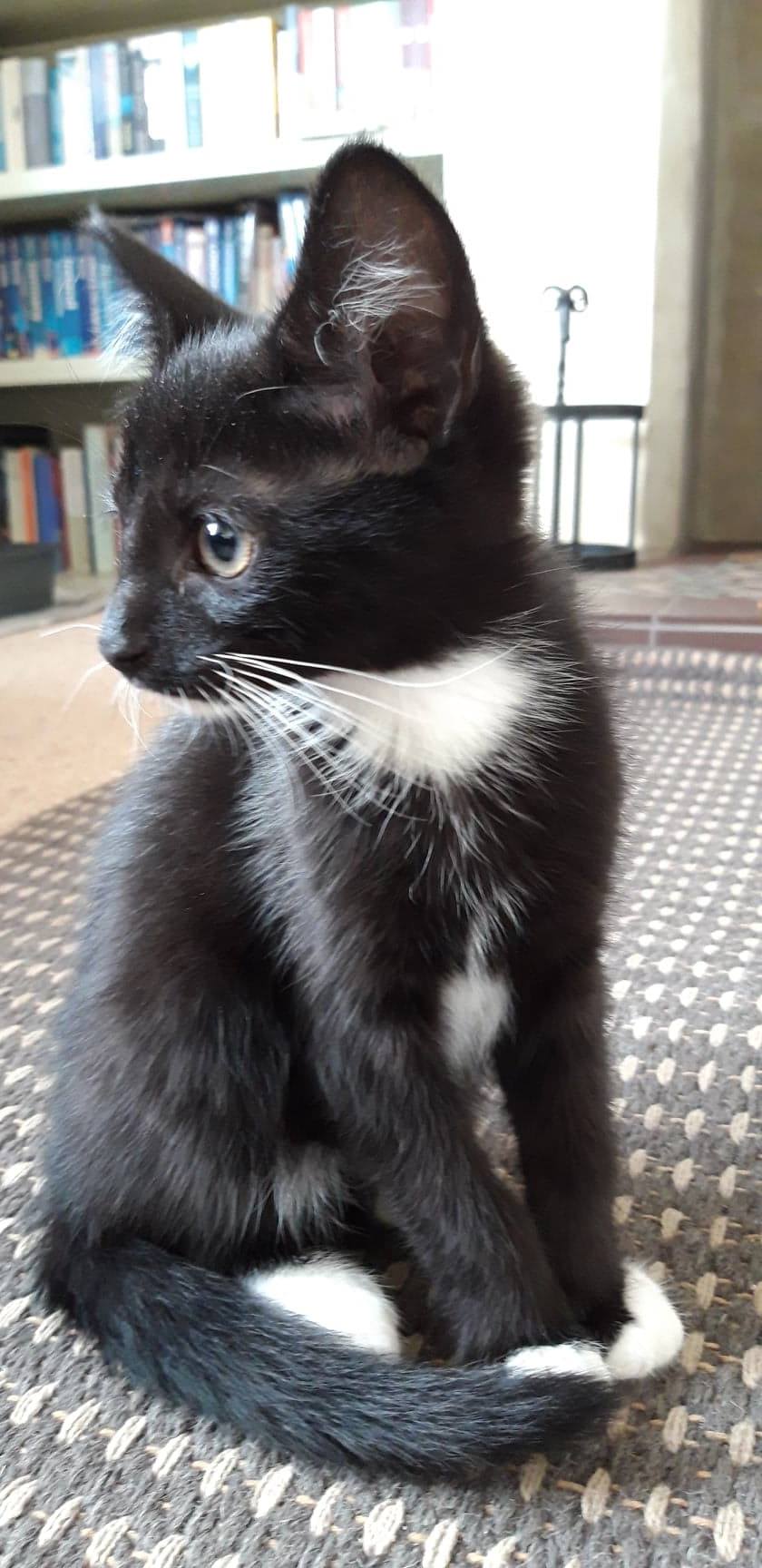 54525665_1040108972851912_474200991189696512_n