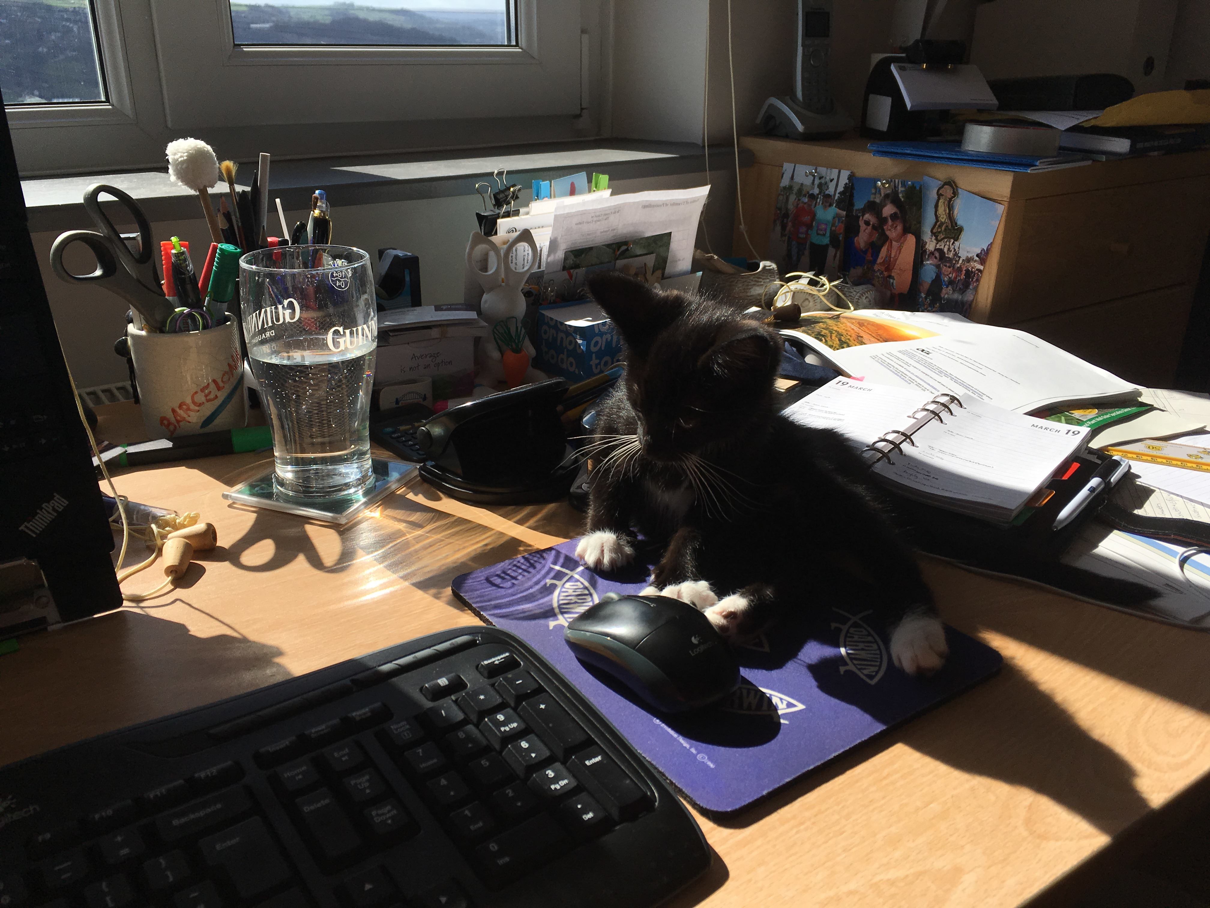 55554425_341906260005913_7578459352726503424_n